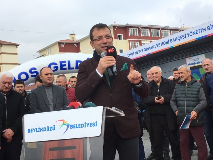 İstanbul’a Dev Meyve Ormanı