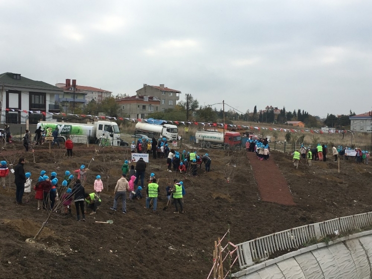 İstanbul’a Dev Meyve Ormanı