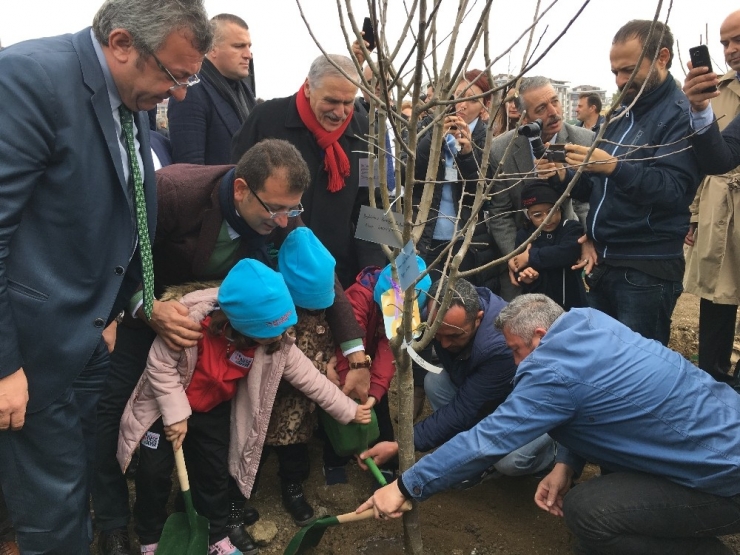 İstanbul’a Dev Meyve Ormanı
