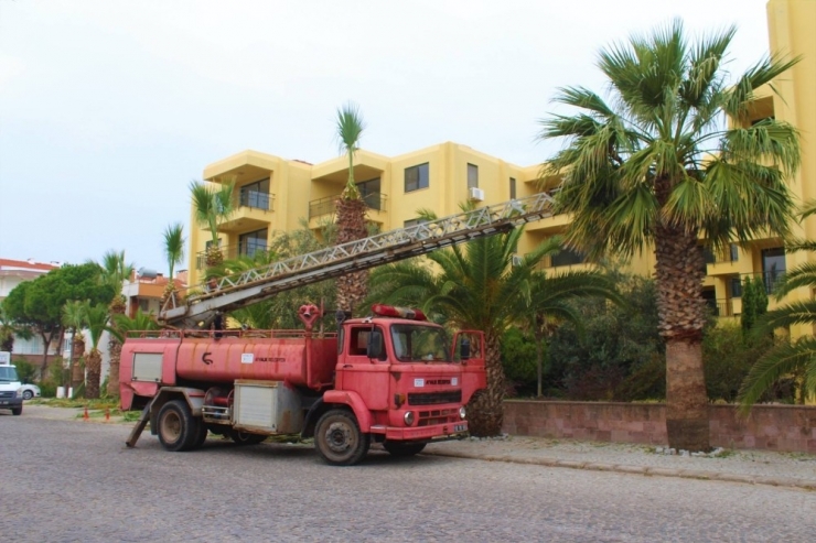 Ayvalık’ta Yeşil Alanların Kışlık Bakımı Tüm Hızıyla Sürüyor