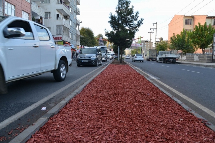 Sunay Caddesinin Peyzajı Yenilendi