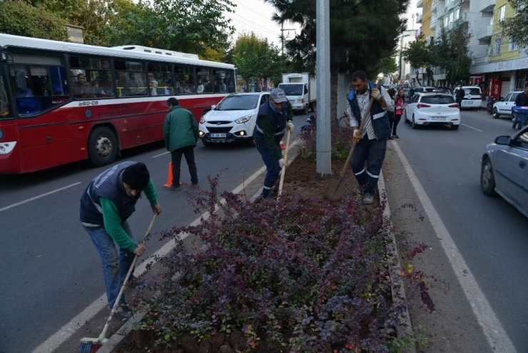 Sunay Caddesinin Peyzajı Yenilendi
