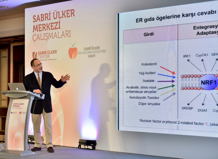 Harvard Sabri Ülker Merkezi’nden Bilim Dünyasında Kolesterol İle İlgili Çığır Açan Buluş