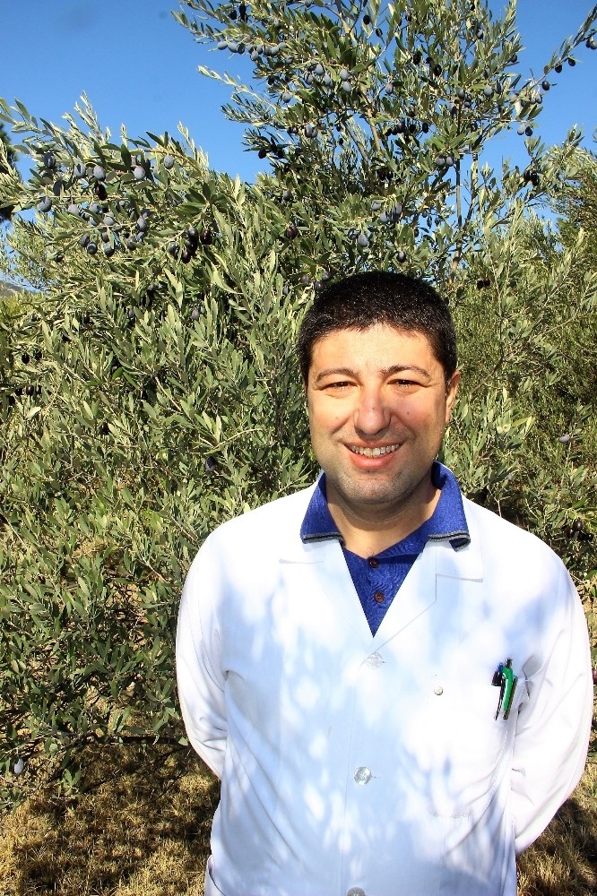 Zeytinyağı Alırken Fiyatına Dikkat Edin