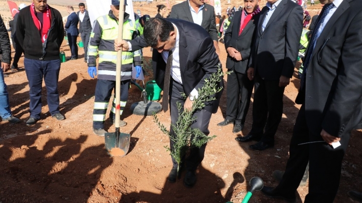 Şehitkamil’e Yeni Bir Orman Kazandırıldı