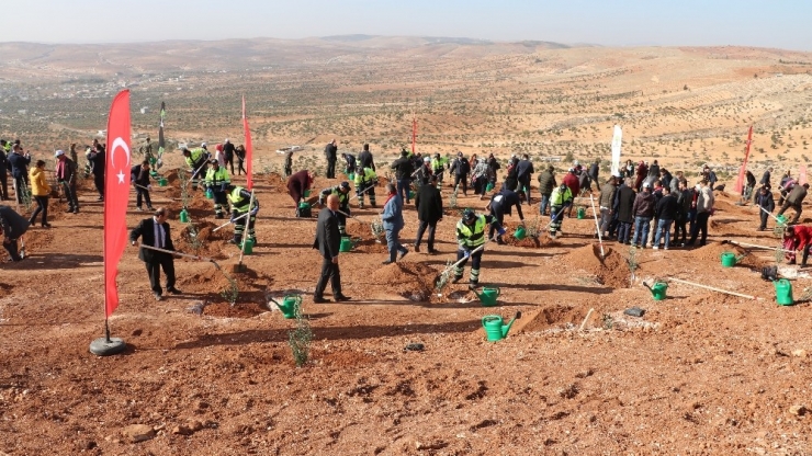 Şehitkamil’e Yeni Bir Orman Kazandırıldı