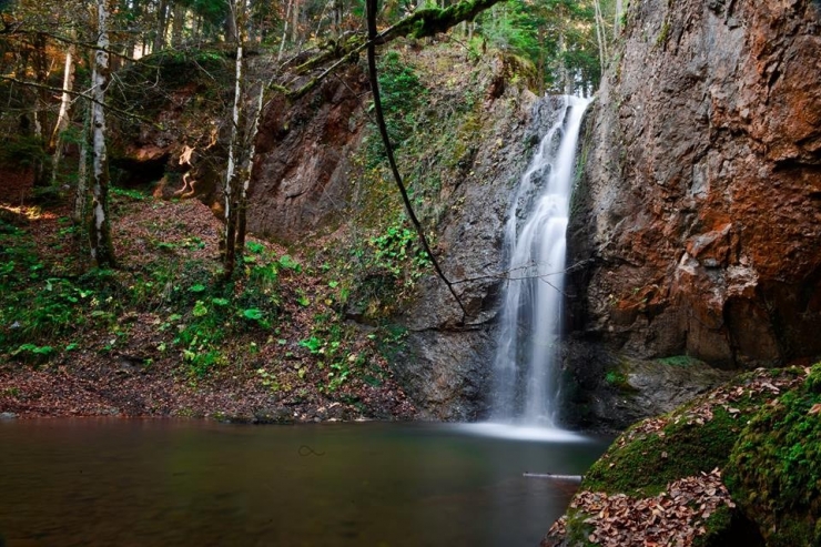 Zonguldak Ormanlarında Renk Cümbüşü