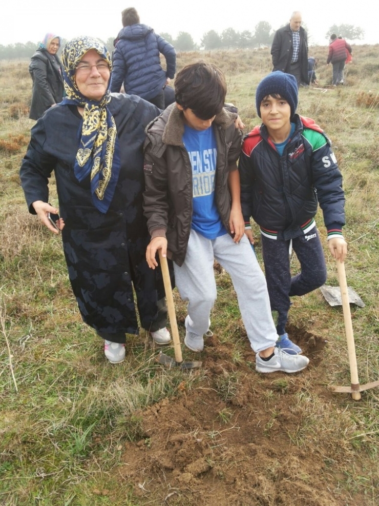 Öğrenciler Fıstık Çamı Dikti