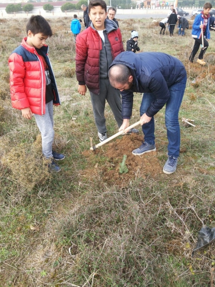 Öğrenciler Fıstık Çamı Dikti