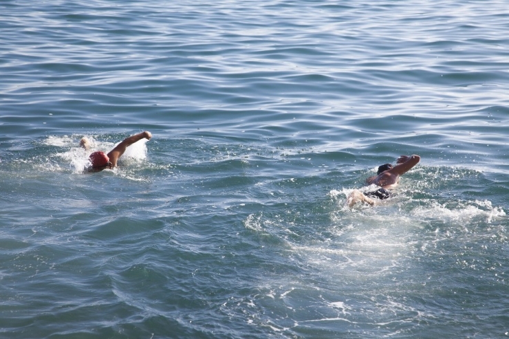 Kasım Ayında Van Gölü’nün Keyfini Çıkartıyorlar
