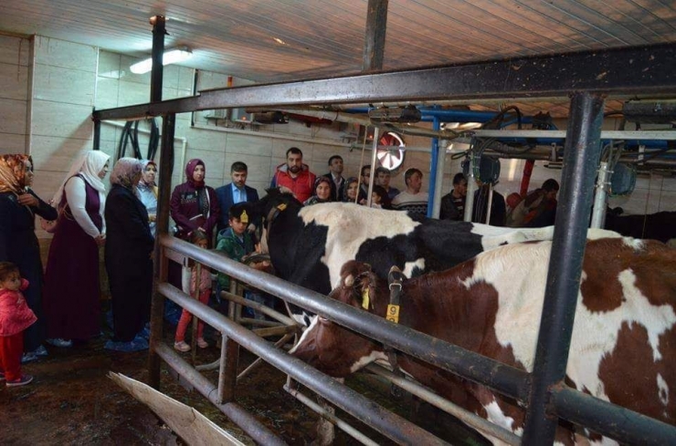 Kursiyerlere Teknik Gezi