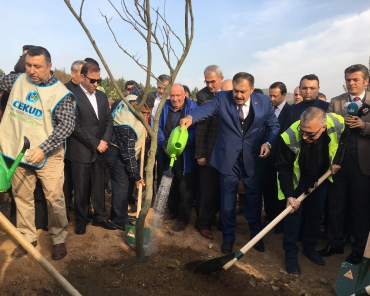 Bakan Eroğlu: “Naim Süleymanoğlu Spor Tarihine İsmi Altın Harflerle Kazınacak Bir Kişidir”