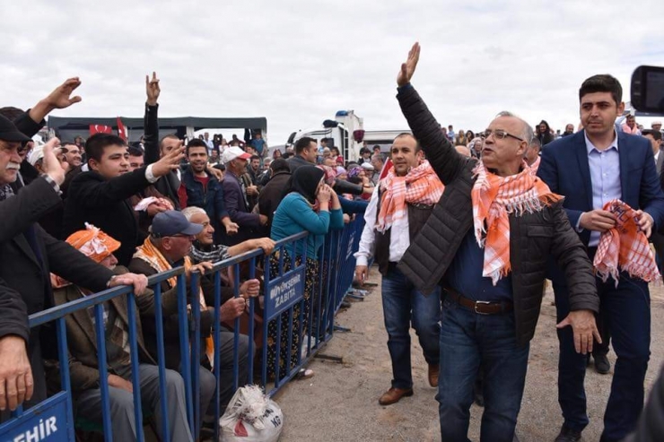 Güreşçi Develer, Manisa’da Güreşti