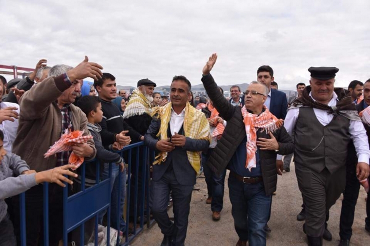 Güreşçi Develer, Manisa’da Güreşti