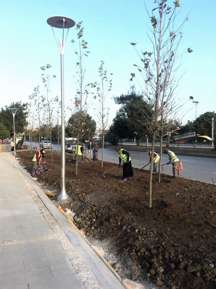 Büyükşehir’den Pazar Mesaisi