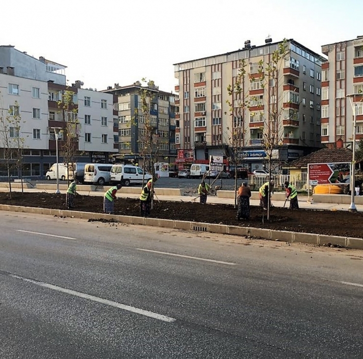 Büyükşehir’den Pazar Mesaisi