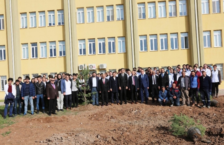 Cü Diş Hekimliği Fakültesi Bahçesine Fidan Dikildi