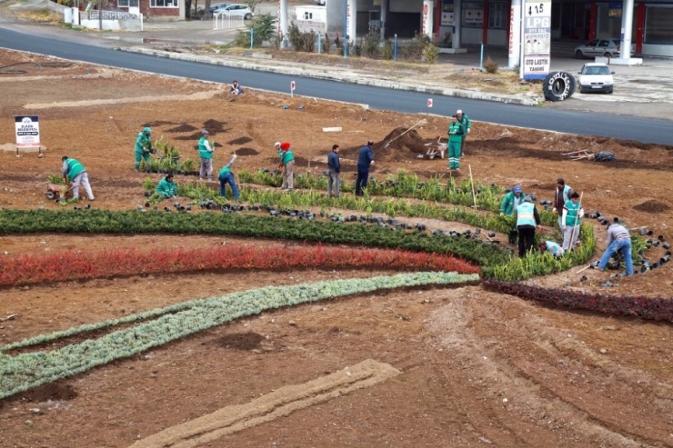 Elazığ’da 106 Bin Ağaç Toprakla Buluşuyor