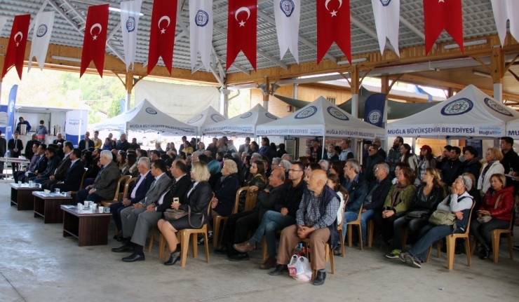 Gökova’da Susam Ve Bal Şenliği