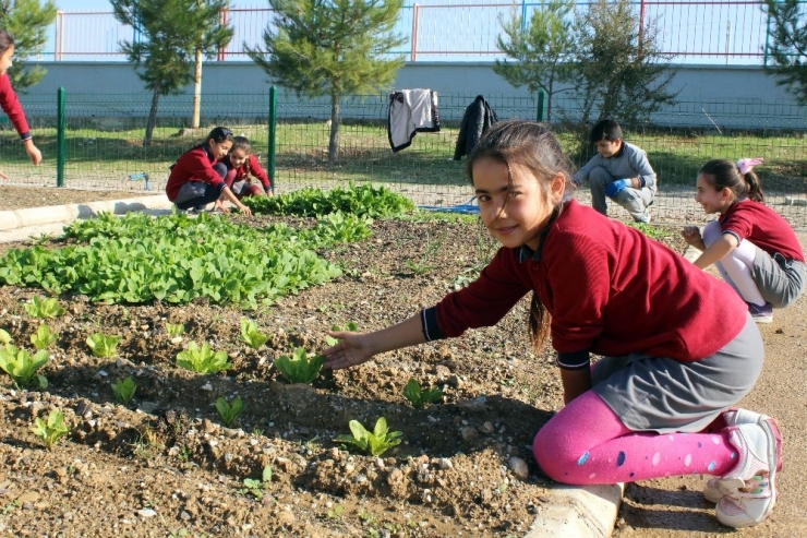 Zil Çalınca Oyuna Değil Hobi Bahçelerine Koşuyorlar