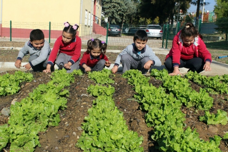 Zil Çalınca Oyuna Değil Hobi Bahçelerine Koşuyorlar