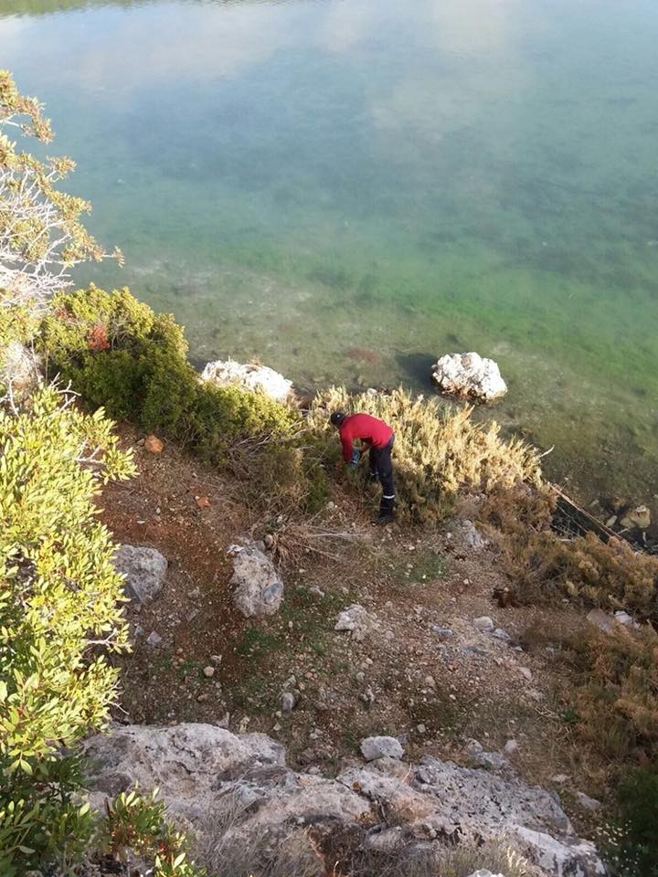 Kuşadası Dilek Yarımadası Milli Parkı’nda Çevre Temizliği Yapıldı