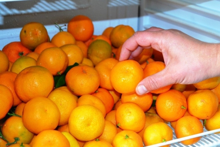 Bu Proje Hem Doyuruyor, Hem Eğitiyor