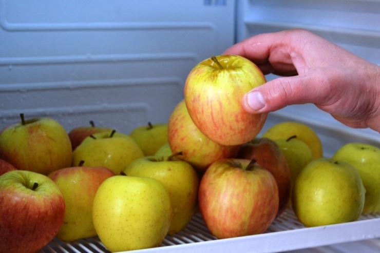 Bu Proje Hem Doyuruyor, Hem Eğitiyor