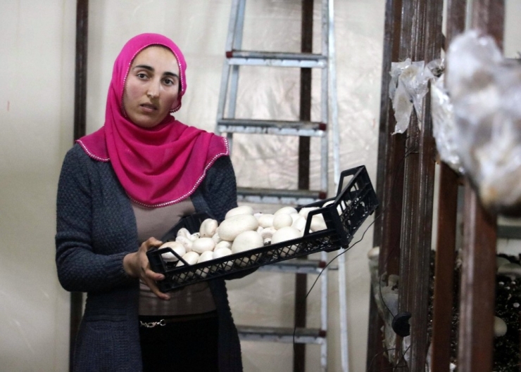 Üç Çocuk Annesi Kurduğu Mantar Tesisiyle Çocuklarının Eğitimine Destek Oluyor