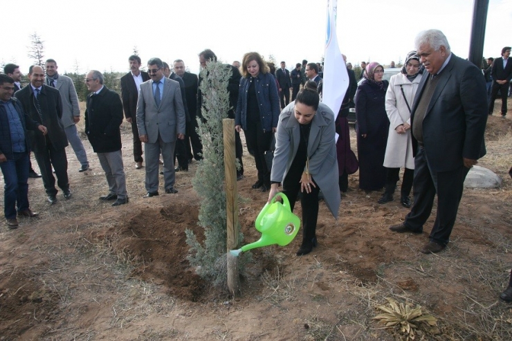 Aksaray’da ‘Gönül Elçileri’ Projesi Kapsamında Fidan Dikimi Yapıldı