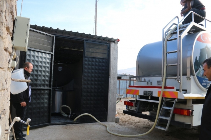 Büyükşehir Süt Üreticisinin Gelirini Artırdı