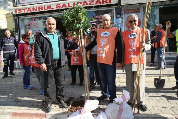 Erdemli Yeşilleniyor