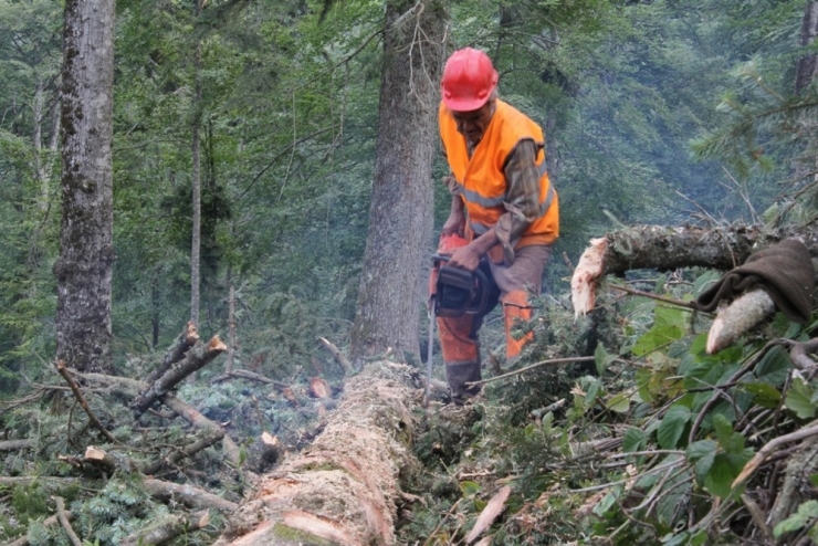 Orman Köylülerinin Yüzü Orköy Destekleriyle Gülüyor