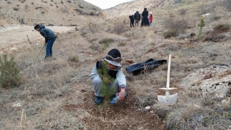 Sivas’ta ’Bir Fidan Bin Hayat’ Kampanyası