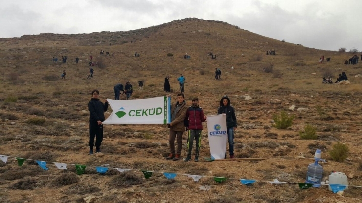 Sivas’ta ’Bir Fidan Bin Hayat’ Kampanyası