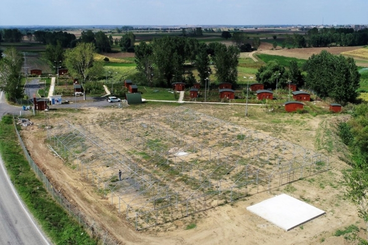 Süleymanpaşa Belediyesi Kendi Çiçeğini Üretecek