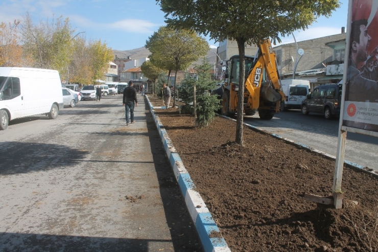 Muradiye’de Yeşillendirme Çalışmaları