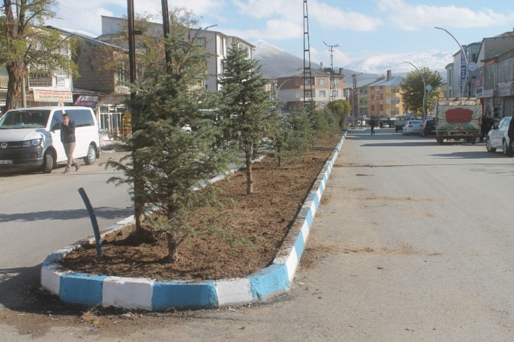 Muradiye’de Yeşillendirme Çalışmaları