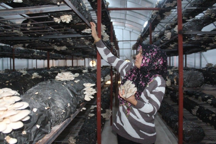 ‘Genç Çiftçi Projesi’ İle Kendi İşini Kurdu