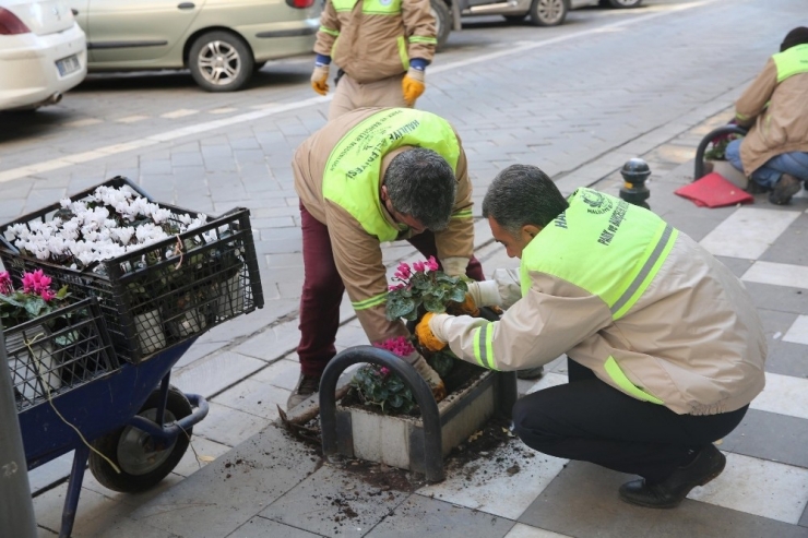 Haliliye’deki Parklarda Mevsimlik Çalışmalar Başladı