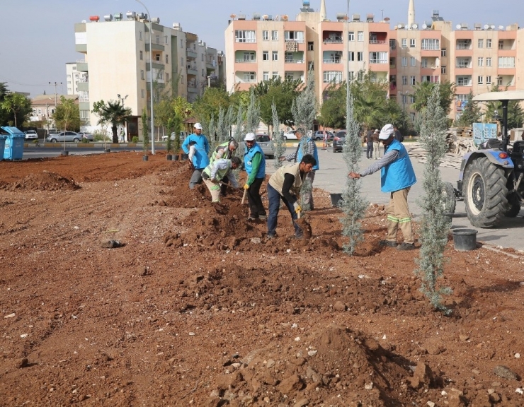 Haliliye’deki Parklarda Mevsimlik Çalışmalar Başladı