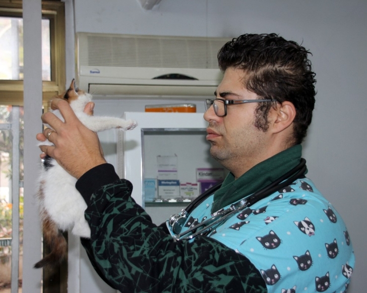 Sokakta Bulunan Yavru Kedinin Kalbi Sağda Çıktı