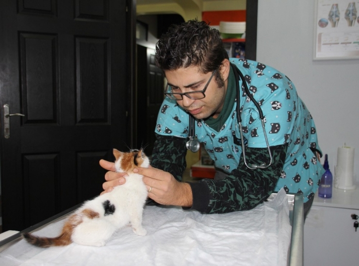 Sokakta Bulunan Yavru Kedinin Kalbi Sağda Çıktı