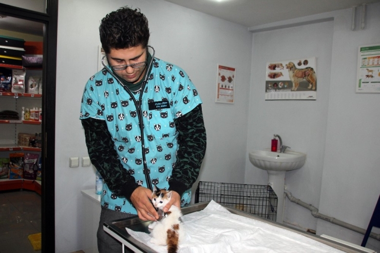 Sokakta Bulunan Yavru Kedinin Kalbi Sağda Çıktı