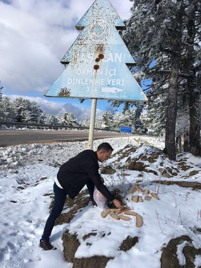 Demirci’de Yaban Hayat Unutulmadı