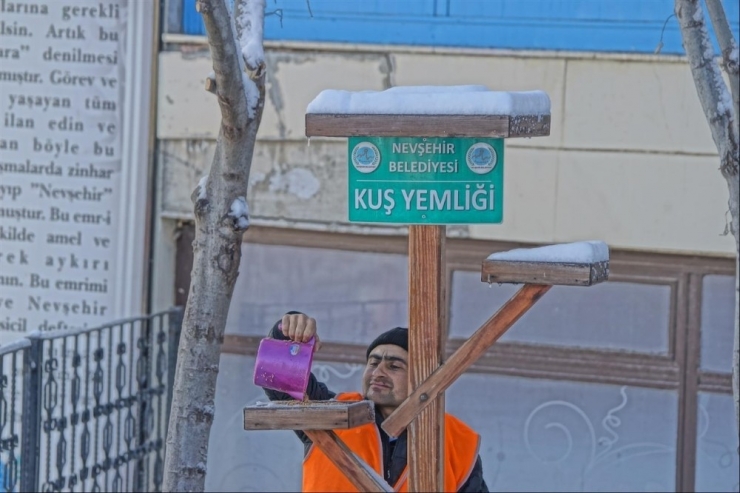 Nevşehir’de Belediye Ekipleri Kuşlara Yem Bıraktı