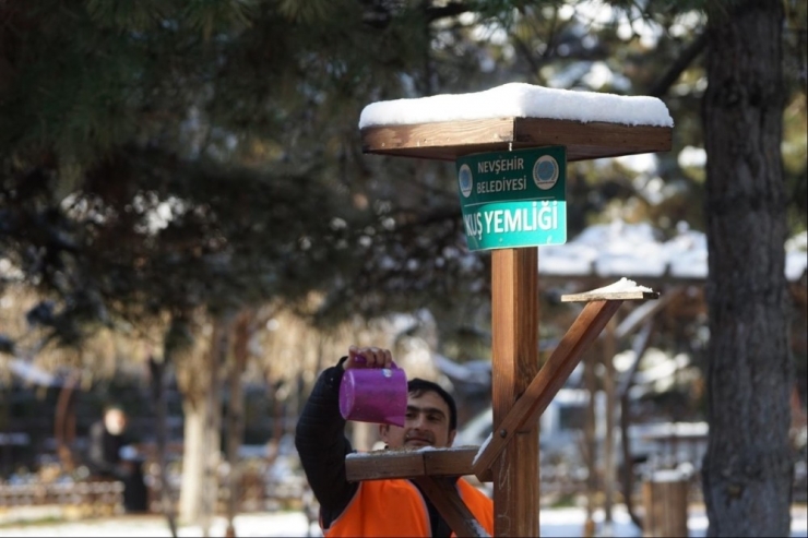 Nevşehir’de Belediye Ekipleri Kuşlara Yem Bıraktı