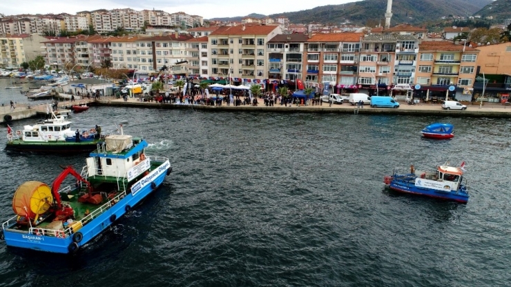 İzmit Körfez’ine 6 Bin Balık Bırakıldı