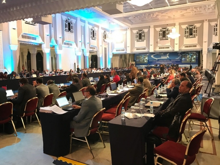 Orkinos Avlanma Kotasında Zafer Türklerin Oldu