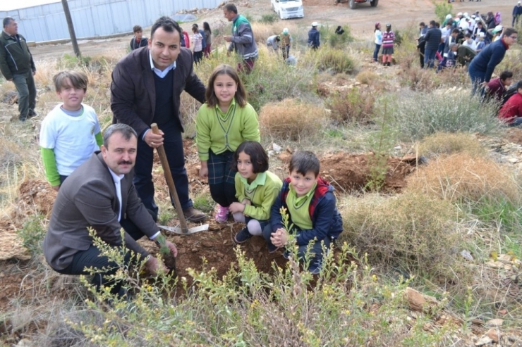 Bozyazı’da Öğretmenler Hatıra Ormanı Oluşturdu